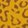 leopardo