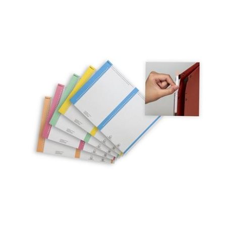 Paquete de 10 hojas con etiquetas para carpetas colgantes con lateral - Material de Oficina - Material Escolar y Papelería