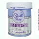 PINTURA TIZA CHALK PAINT ARTIS  250 ML CAMPANILLA