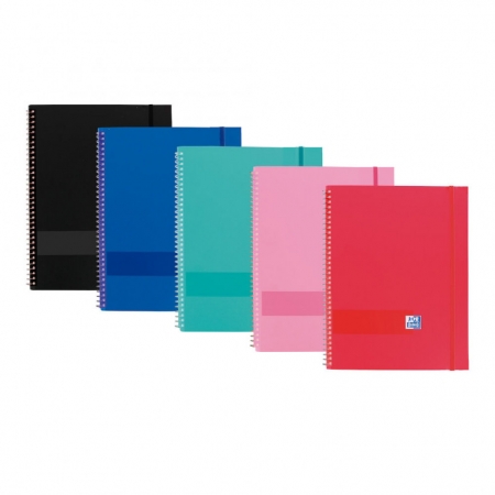 CARPETA 40 FUNDAS ESPIRAL C/GOMA PP