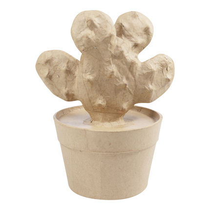CACTUS RAQUETA