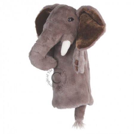 MARIONEA ELEFANTE