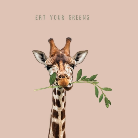 PAQUETE DE 20 SERVILLETAS DE BAMBÚ EAT YOUR GREENS