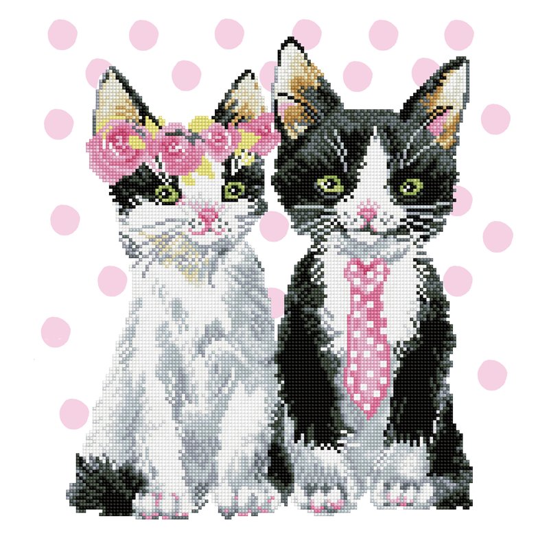 PINTAR CON DIAMANTES DIAMOND DOTZ MR & MRS PINK 42 X 47 CM