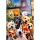 Puzzle de madera Puppies in Paris 150 piezas