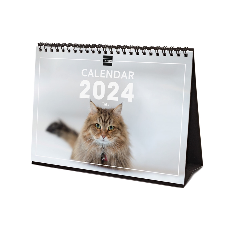 Calendario de sobremesa 2024 Finocam internacional S cats