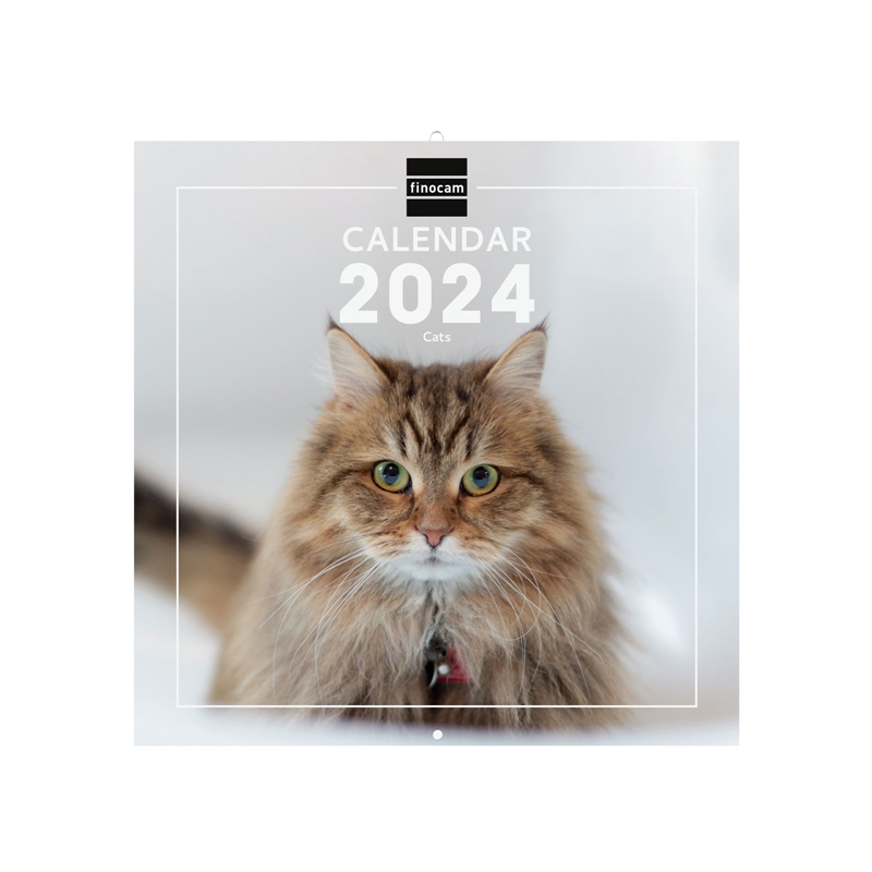 Calendario de pared 2024 Finocam internacional 30x30 cats