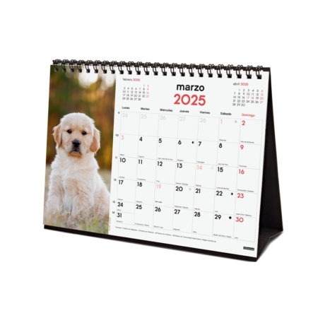 Calendario de sobremesa 2025 Finocam cachorros