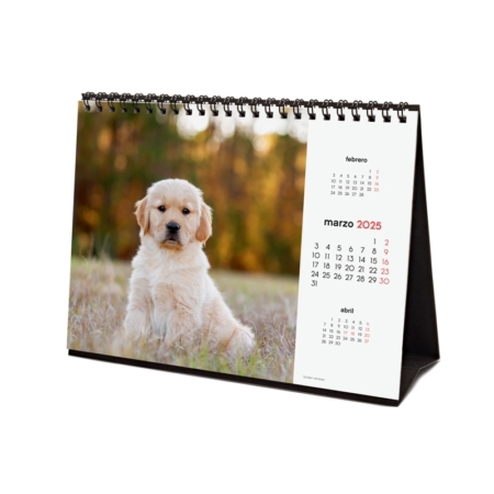 Calendario de sobremesa 2025 Finocam cachorros