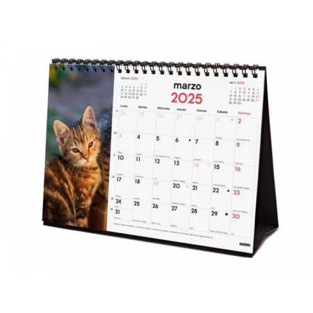 Calendario de sobremesa 2025 Finocam gatitos