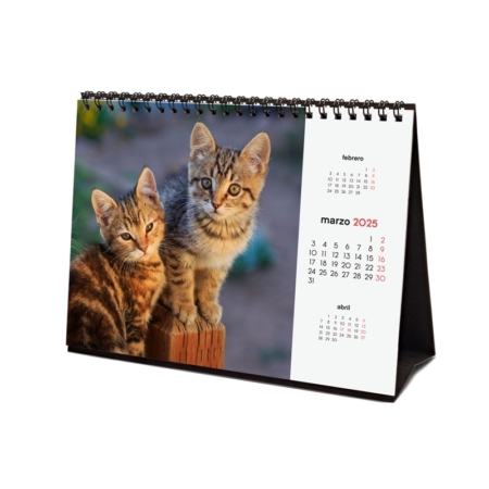 Calendario de sobremesa 2025 Finocam gatitos