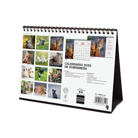 Calendario de sobremesa 2025 Finocam gatitos
