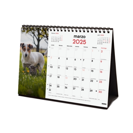 Calendario de sobremesa 2025 Finocam perros y gatos