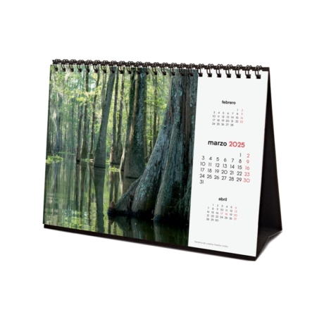Calendario de sobremesa 2025 Finocam naturaleza