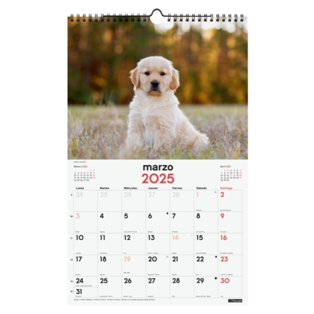 Calendario de pared 2025 Finocam espiral 25 x 40 cm cachorros