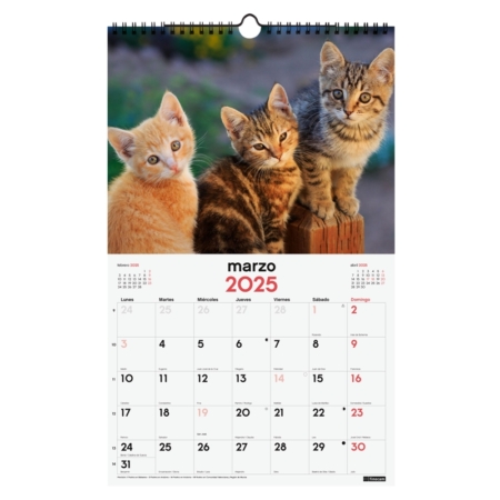 Calendario de pared 2025 Finocam espiral 25 x 40 cm gatitos