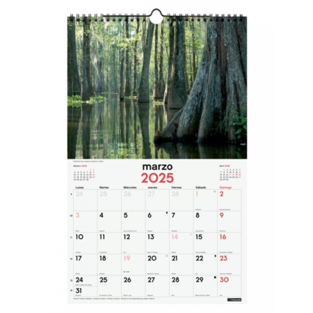 Calendario de pared 2025 Finocam espiral 25 x 40 cm naturaleza