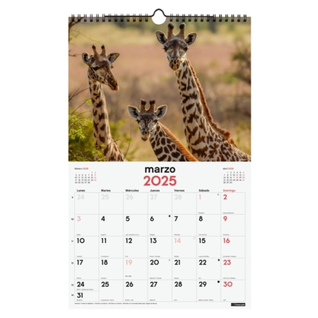 Calendario de pared 2025 Finocam espiral 25 x 40 cm fauna