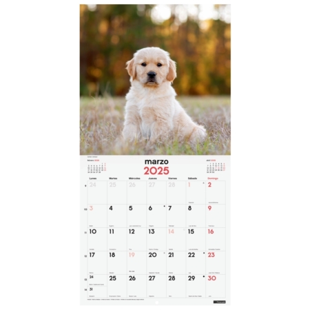 Calendario de pared 2025 Finocam 30 x 30 cm cachorros