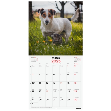 Calendario de pared 2025 Finocam 30 x 30 cm perros y gatos