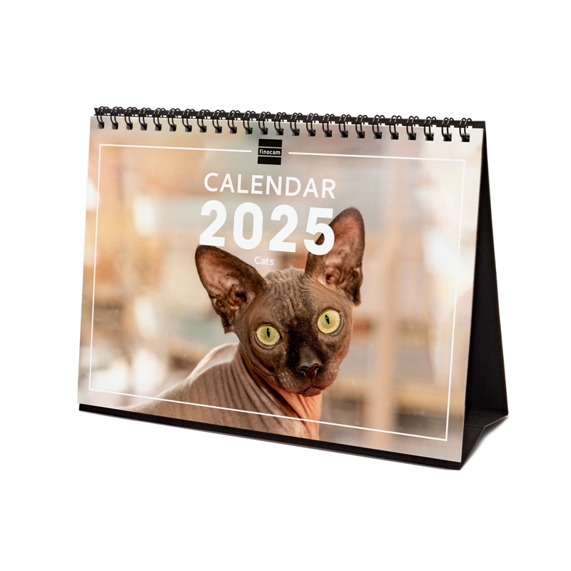 Calendario de sobremesa 2025 Finocam cats internacional
