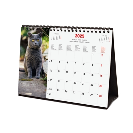 Calendario de sobremesa 2025 Finocam cats internacional