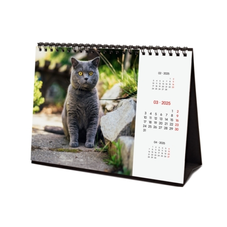 Calendario de sobremesa 2025 Finocam cats internacional