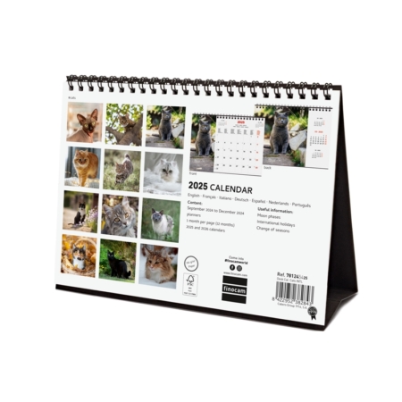 Calendario de sobremesa 2025 Finocam cats internacional