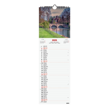 Calendario de pared 2025 Finocam Spiral 15 x 48 cm charming internacional