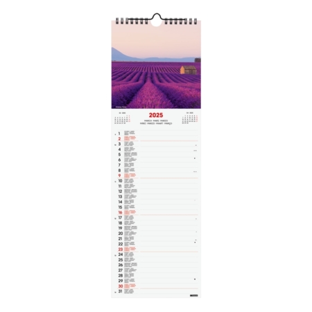 Calendario de pared 2025 Finocam Spiral 15 x 48 cm traveling internacional