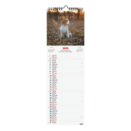 Calendario de pared 2025 Finocam Spiral 15 x 48 cm dogs internacional