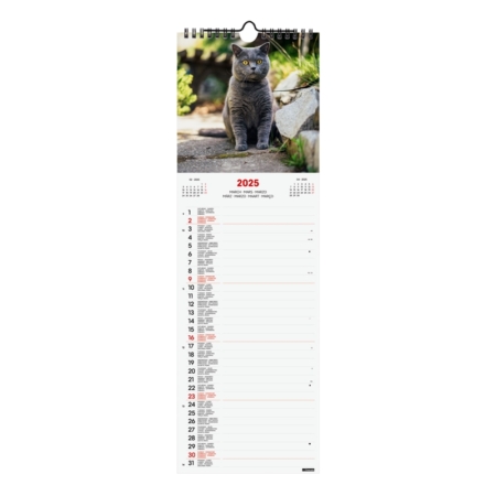 Calendario de pared 2025 Finocam Spiral 15 x 48 cm cats internacional