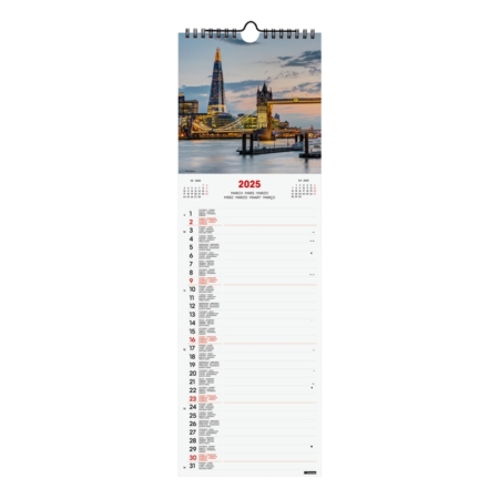 Calendario de pared 2025 Finocam Spiral 15 x 48 cm London internacional