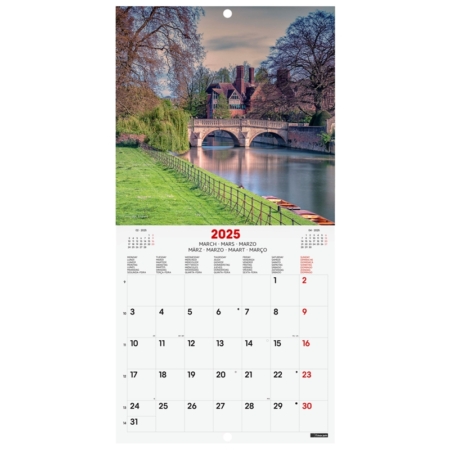 Calendario de pared 2025 Finocam 18 x 18 cm charming internacional