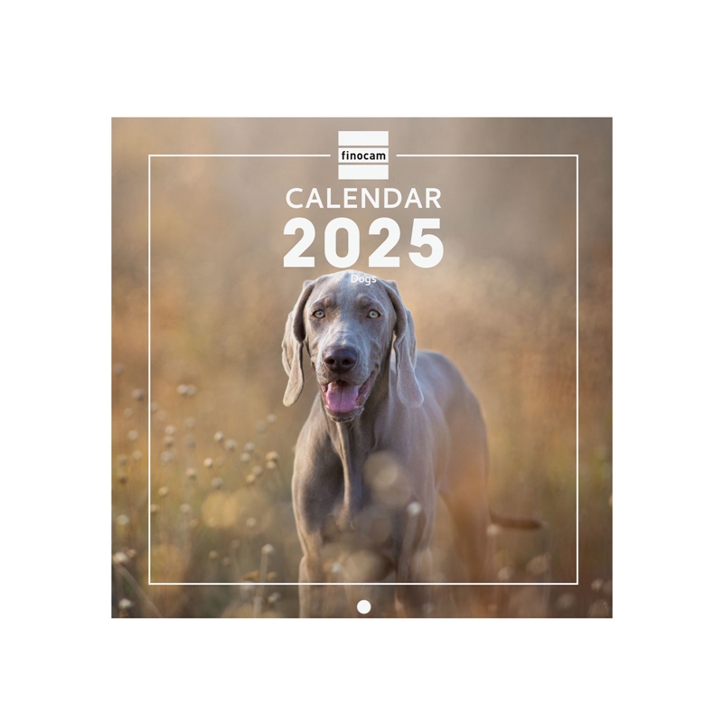 Calendario de pared 2025 Finocam 18 x 18 cm dogs internacional