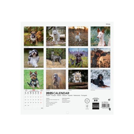 Calendario de pared 2025 Finocam 18 x 18 cm dogs internacional