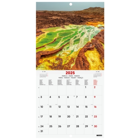 Calendario de pared 2025 Finocam 18 x 18 cm nature internacional