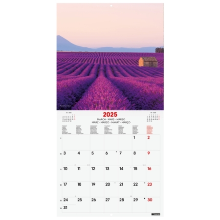 Calendario de pared 2025 Finocam 30 x 30 cm traveling internacional