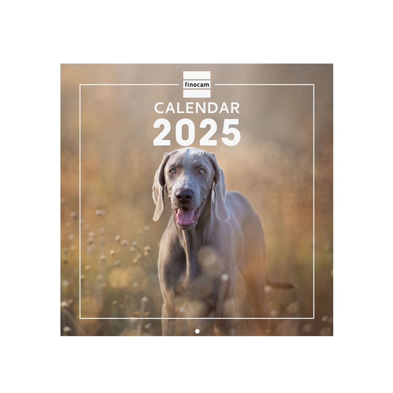 Calendario de pared 2025 Finocam 30 x 30 cm dogs internacional
