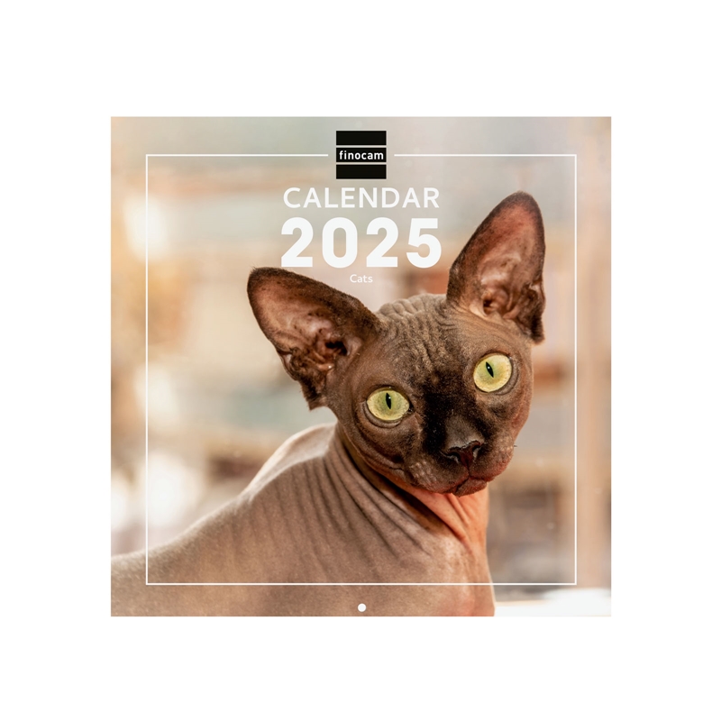 Calendario de pared 2025 Finocam 30 x 30 cm cats internacional