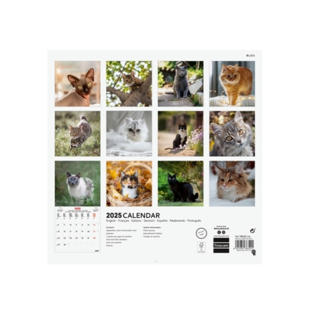 Calendario de pared 2025 Finocam 30 x 30 cm cats internacional