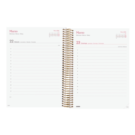 Agenda 2025 Finocam Design Collection E10 1 día página goldy