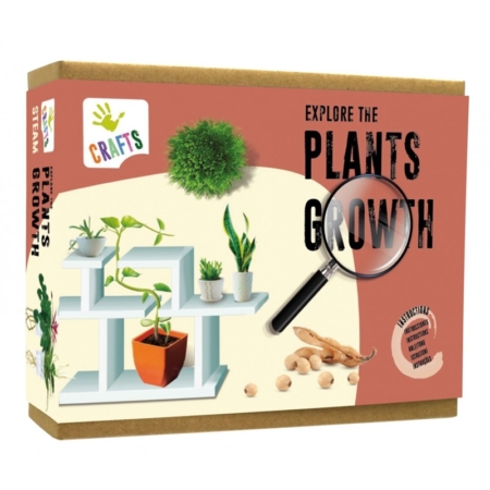 Explora las plantas