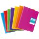 Carpeta de espiral Maxiplas Gloss en PP A4 con 50 fundas y gomas Grafoplas