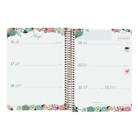 Agenda escolar 2025-2026 Finocam 16 meses Cloe E10 semana vista azul