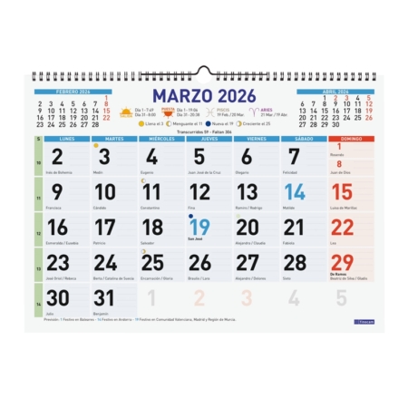 Calendario 2026 Finocam pared Color mixto L 43 x 31 cm