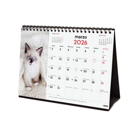 Calendario 2026 Finocam sobremesa gatitos