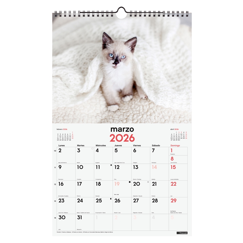 Calendario 2026 Finocam pared con espiral 25 x 40 cm gatitos