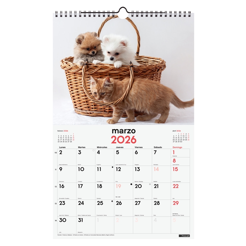 Calendario 2026 Finocam pared con espiral 25 x 40 cm perros y gatos