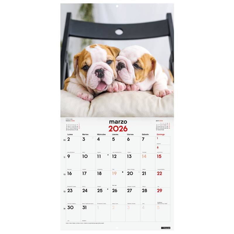 Calendario 2026 Finocam pared 30 x 30 cm cachorros